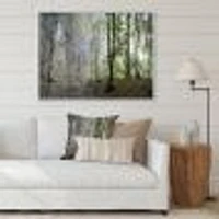 Green Morning Forest Panorama  Canvas Art Print