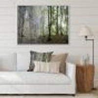 Green Morning Forest Panorama  Canvas Art Print