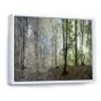 Green Morning Forest Panorama  Canvas Art Print