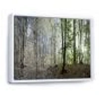 Green Morning Forest Panorama  Canvas Art Print