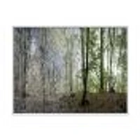 Green Morning Forest Panorama  Canvas Art Print