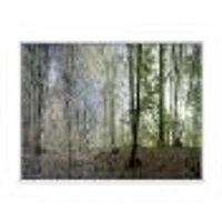 Green Morning Forest Panorama  Canvas Art Print