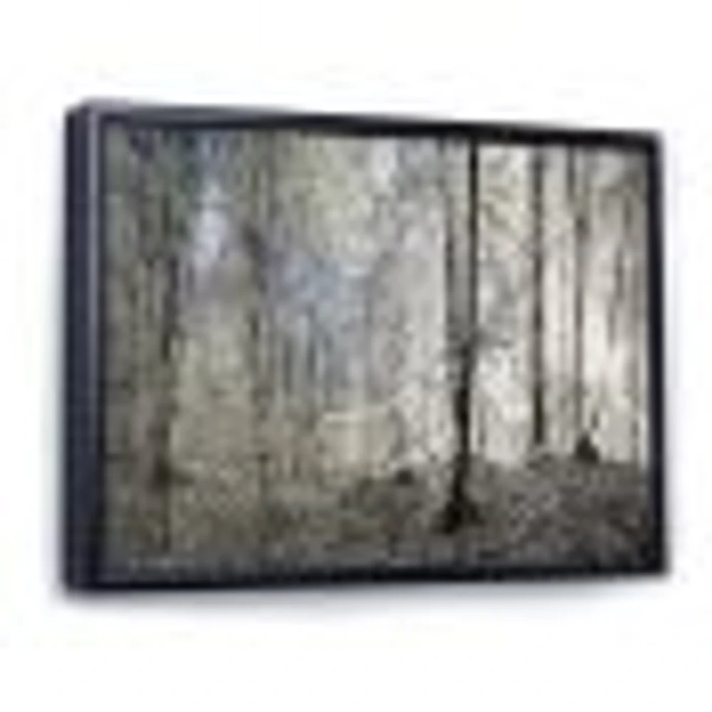 Dark Morning Forest Panorama  Canvas Wall Art Print