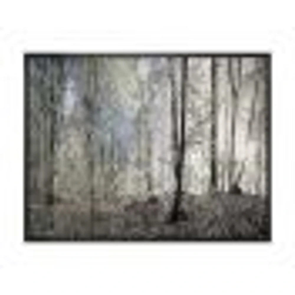 Toile imprimée « Dark Morning Forest Panorama »