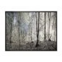 Dark Morning Forest Panorama  Canvas Wall Art Print