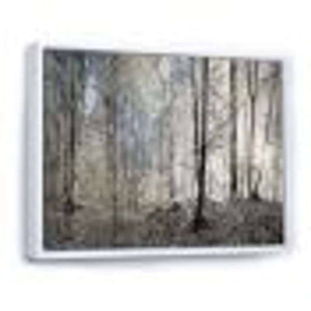 Toile imprimée « Dark Morning Forest Panorama »