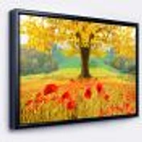 Beautiful Autumn Yellow Tree  Wall Art