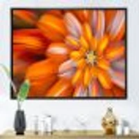 Massive Orange Fractal Flower  Canvas Art Print