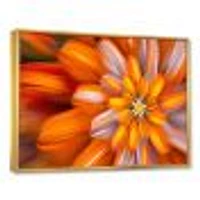 Massive Orange Fractal Flower  Canvas Art Print