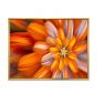 Massive Orange Fractal Flower  Canvas Art Print