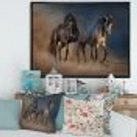 Black and white Horse run  Wall Art