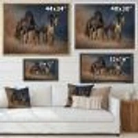 Black and white Horse run  Wall Art