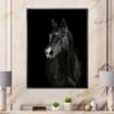 Black Horse darkness  Canvas