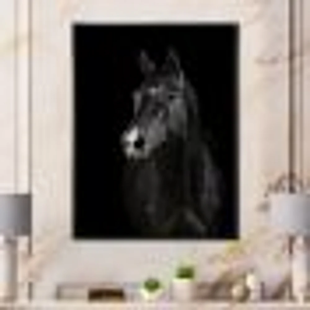 Toile « Black Horse darkness »