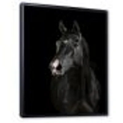 Black Horse darkness  Canvas