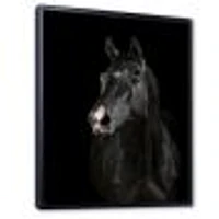 Toile « Black Horse darkness »