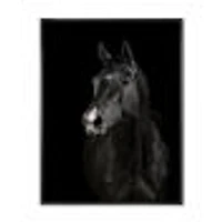 Toile « Black Horse darkness »