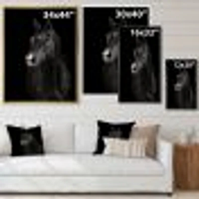 Black Horse darkness  Canvas