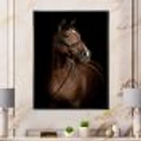 Horse Portrait  Canvas