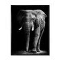 Toile « African Elephant Black Background »