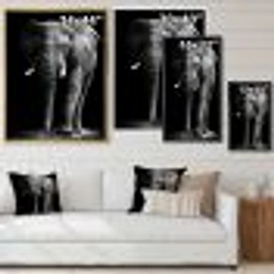 African Elephant Black Background  Wall Art