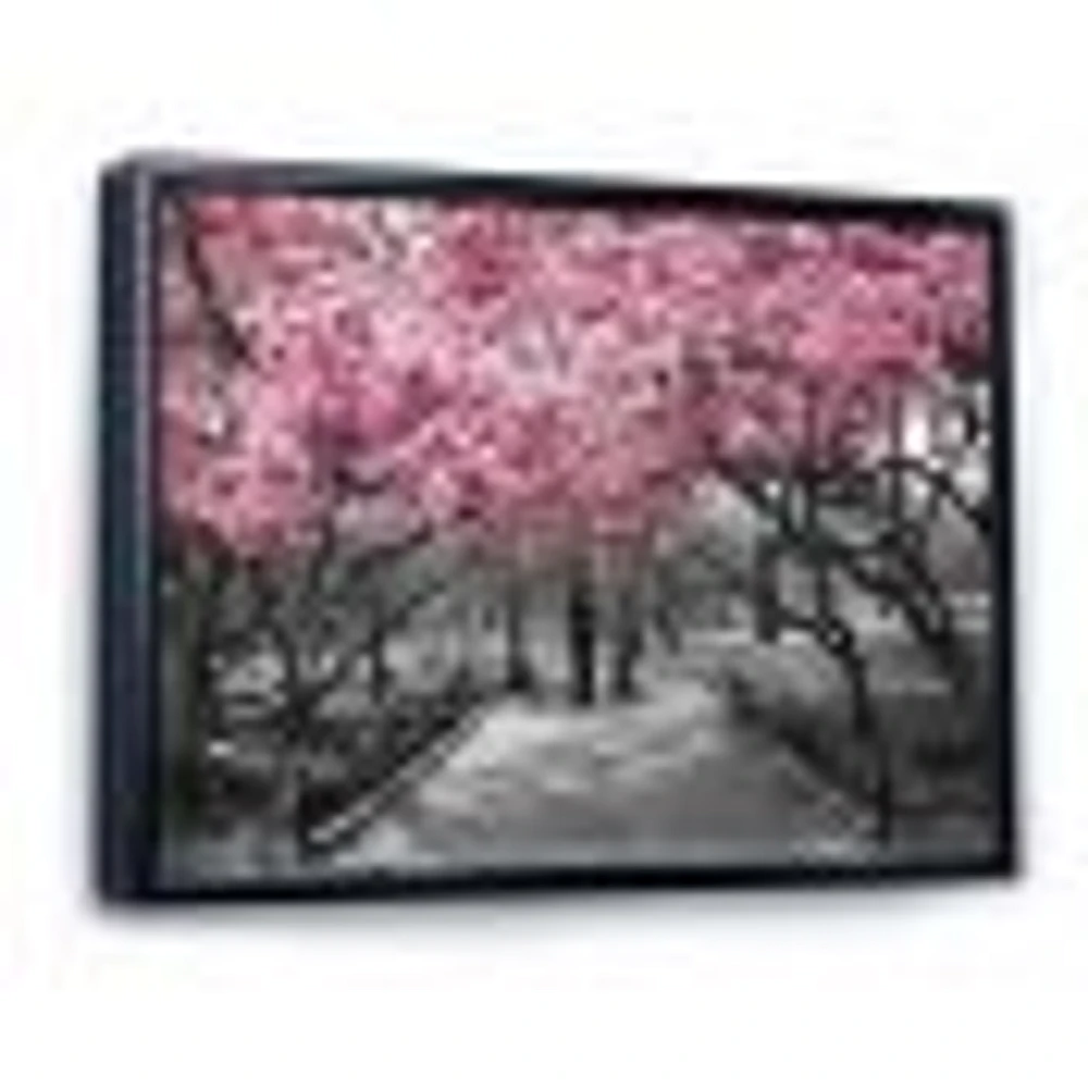 Cherry Blossoms  Canvas Wall Art