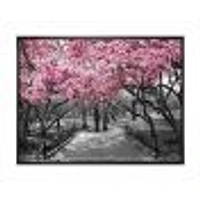 Cherry Blossoms  Canvas Wall Art