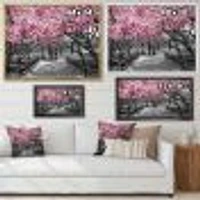 Cherry Blossoms  Canvas Wall Art