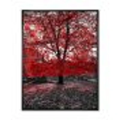 Toile « Red Tree Central Park »