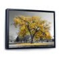 Big Golden Tree  Canvas Wall Art