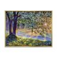 Tree by River First Rays of Afternoon Sun  Wall Art