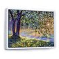 Tree by River First Rays of Afternoon Sun  Wall Art