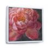 Vivid Pink Peonies I  Wall Art