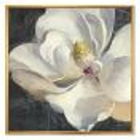 Vivid White Magnolia IV  Canvas Wall Art