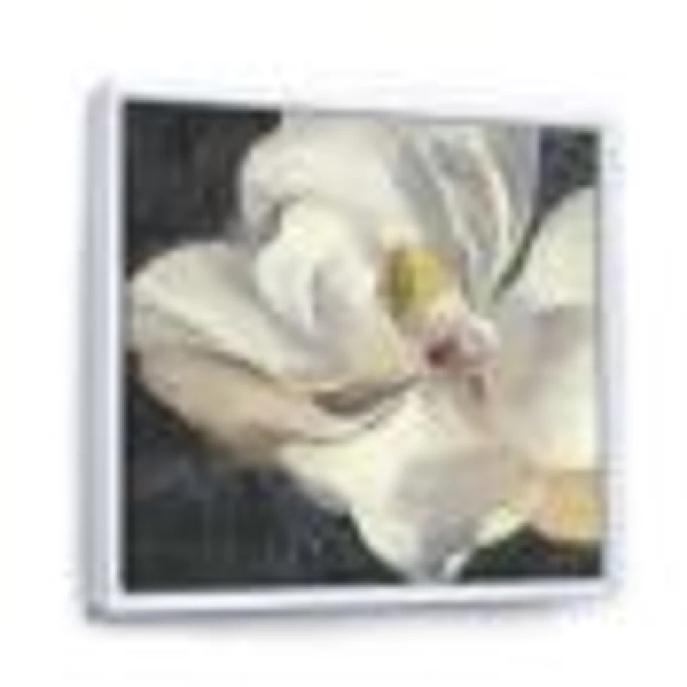 Toile  « Vivid White Magnolia IV »