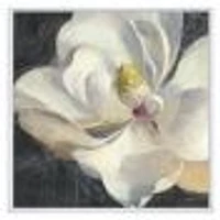 Vivid White Magnolia IV  Canvas Wall Art