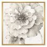 Indigold Grey Peonies I  Canvas Wall Art