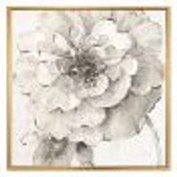 Indigold Grey Peonies I  Canvas Wall Art