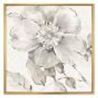 Indigold Grey Peonies II  Wall Art