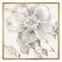 Toile « Indigold Grey Peonies II