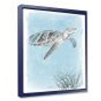 Toile « Coastal Sea Life I Turtle sketches »