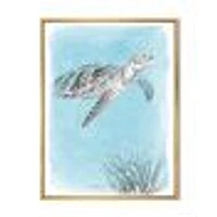 Toile « Coastal Sea Life I Turtle sketches »