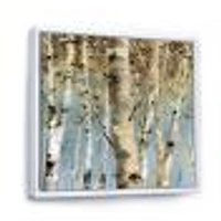 White Birch Forest II  Canvas Wall Art