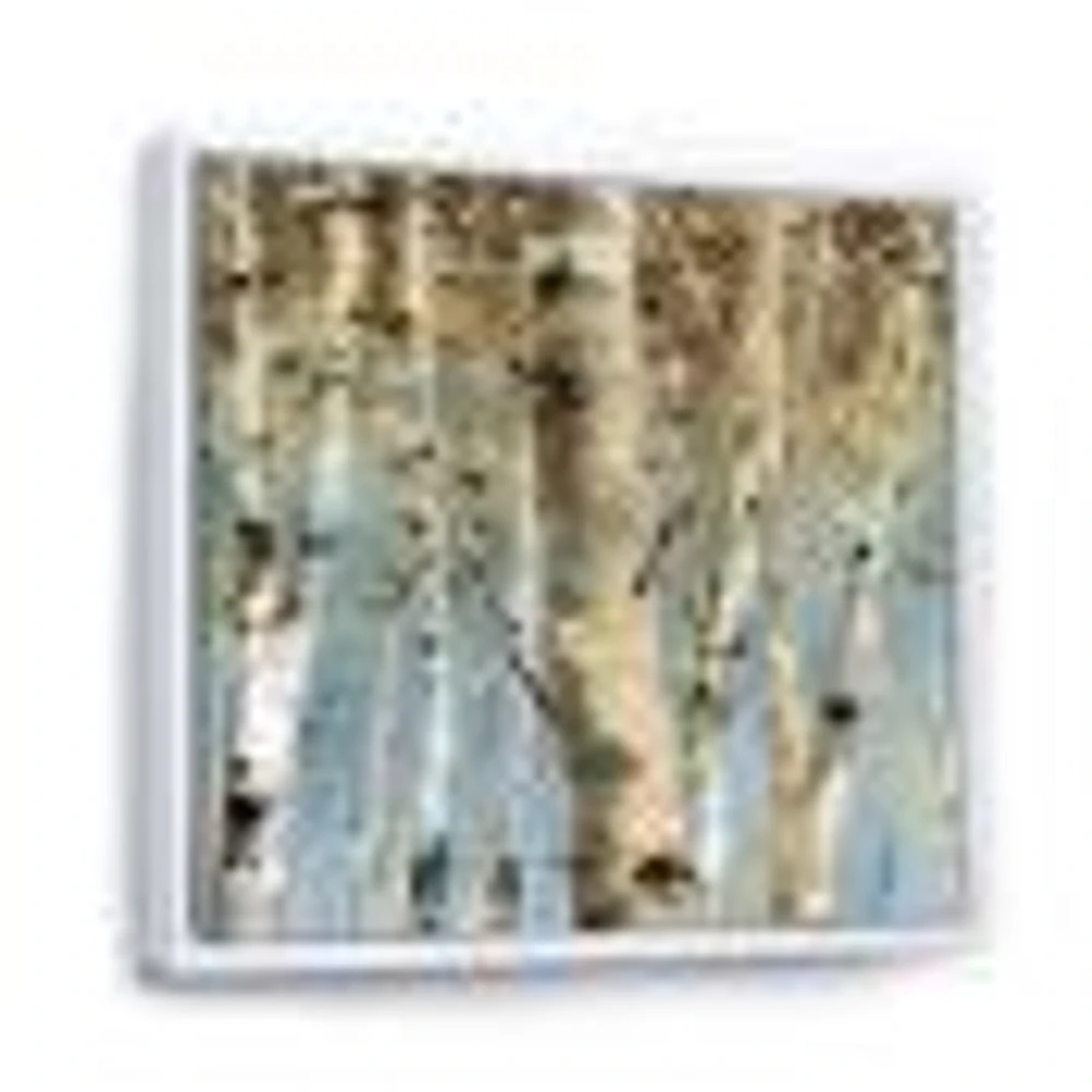 White Birch Forest II  Canvas Wall Art