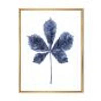 Navy Blue Chestnut Leaf  Wall Art