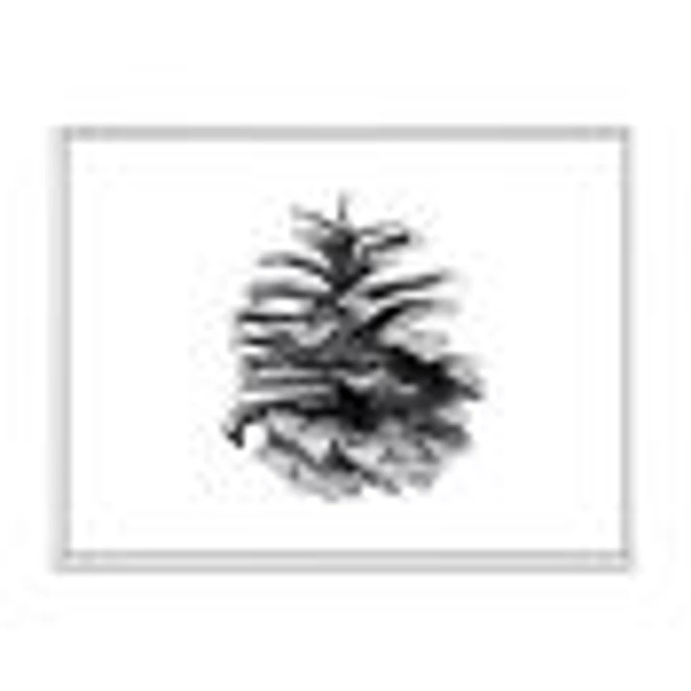 Toile « Conifer Cone Monochrome