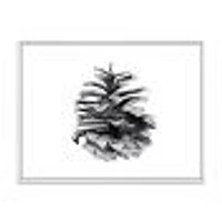 Toile « Conifer Cone Monochrome