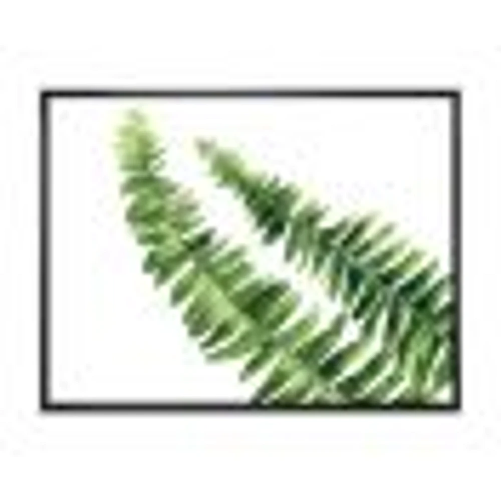 Toile « Fern Leaves Detail I