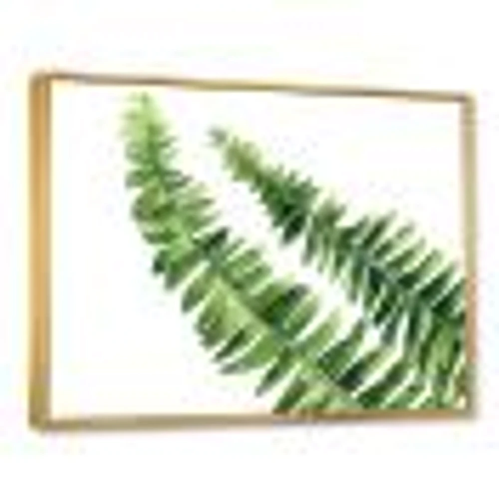 Toile « Fern Leaves Detail I