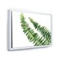 Fern Leaves Detail I  Wall Art